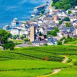 Labed - Auf Weingut Mit Privater Terrasse, Zentral Gelegen, Gratis Wlan
