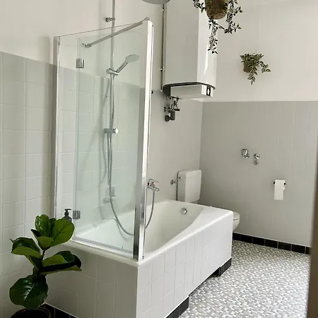 Labed - Auf Weingut Mit Privater Terrasse, Zentral Gelegen, Gratis Wlan Apartman Rüdesheim am Rhein