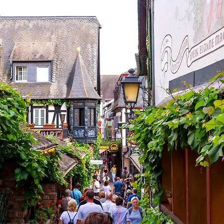 Lägenhet Labed - Auf Weingut Mit Privater Terrasse, Zentral Gelegen, Gratis Wlan Rüdesheim am Rhein