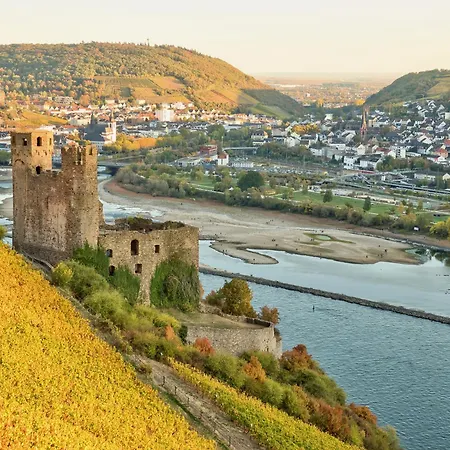 Labed - Auf Weingut Mit Privater Terrasse, Zentral Gelegen, Gratis Wlan Lägenhet Rüdesheim am Rhein