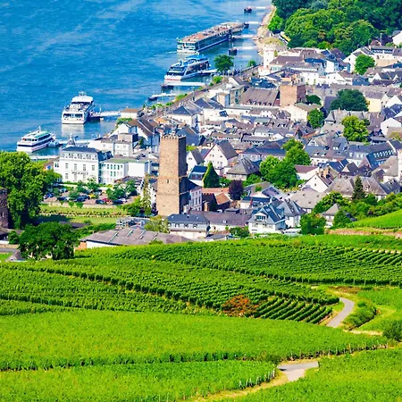 Labed - Auf Weingut Mit Privater Terrasse, Zentral Gelegen, Gratis Wlan