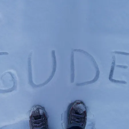 Labed - Auf Weingut Mit Privater Terrasse, Zentral Gelegen, Gratis Wlan * 로데스하임암라인