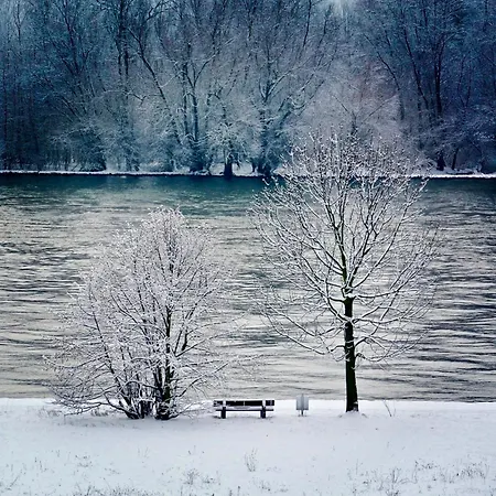 아파트 Labed - Auf Weingut Mit Privater Terrasse, Zentral Gelegen, Gratis Wlan