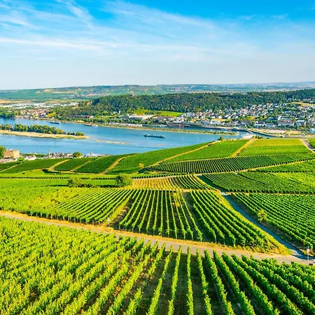 Labed - Auf Weingut Mit Privater Terrasse, Zentral Gelegen, Gratis Wlan Rüdesheim am Rhein