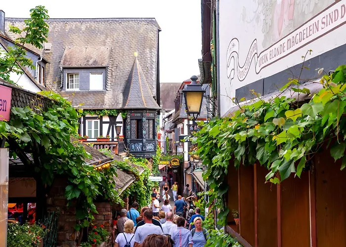 Lejlighed Labed - Auf Weingut Mit Privater Terrasse, Zentral Gelegen, Gratis Wlan Rüdesheim am Rhein