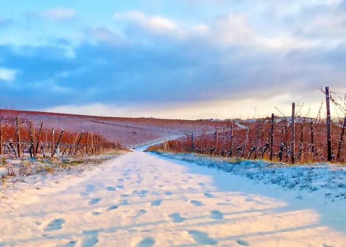Lejlighed Labed - Auf Weingut Mit Privater Terrasse, Zentral Gelegen, Gratis Wlan Rüdesheim am Rhein