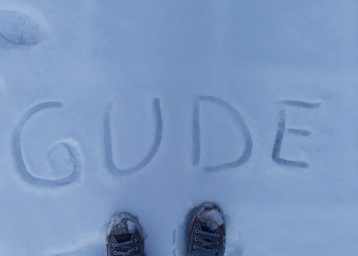 Labed - Auf Weingut Mit Privater Terrasse, Zentral Gelegen, Gratis Wlan * Rüdesheim am Rhein